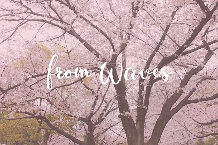 【FromWAVES】お花見とウェルカムパーティーを開催しました。