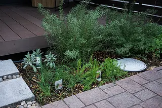 photo_2520