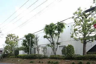 photo_1202