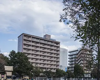 photo_1584