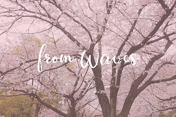 【FromWAVES】お花見とウェルカムパーティーを開催しました。