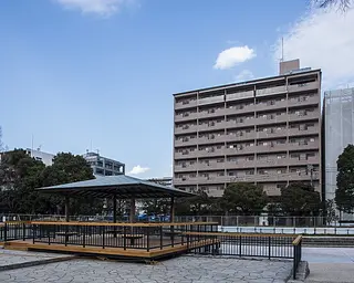 photo_1594
