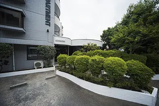 photo_239